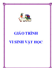 Giáo trình vi sinh vật học | Trường Đại học Công nghiệp thành phố Hồ Chí Minh