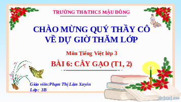 Giáo án điện tử Tiếng Việt 3 Tập 2 Bài 6 Kết nối tri thức: Cây gạo - Viết