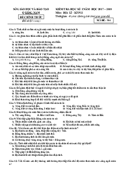 Đề thi học kỳ 1 Địa Lí lớp 12 Quảng Nam 2017-2018 (có đáp án)