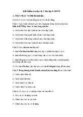 Đề thi học kỳ 2 môn Tin học lớp 8 năm học 2024 - 2025 - Đề số 1 | Bộ sách Kết nối tri thức