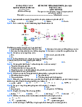 Đề thi thử tốt nghiệp THPT lần 1 năm học 2023 – 2024 môn Sinh học