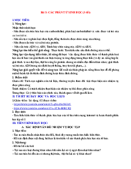 Giáo án Sinh học 10 sách Kết nối tri thức với cuộc sống (HKI) | Đề 5