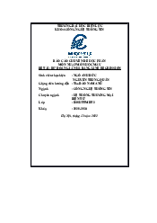 Báo cáo nhập môn học máy | Trường đại học Điện Lực