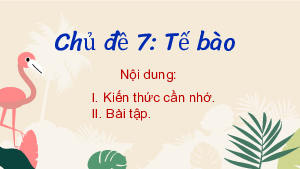 Bài tập chủ đề 7 | Bài giảng PowerPoint KHTN 6 | Cánh diều