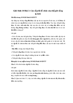 Giải Sinh 10 Bài 3: Các cấp độ tổ chức của thế giới sống | Kết nối tri thức