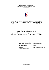 Khóa luận tốt nghiệp - Thuốc kháng sinh và nguyên tắc sử dụng thuốc môn Logistic - Quản lý chuỗi cung ứng | Trường Đại học Thăng Long
