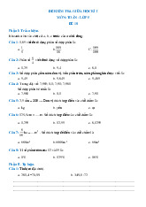 Đề thi ôn tập toán lớp 5 học kỳ 1