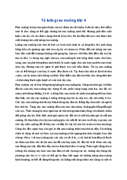 Bài văn tả luống rau muống | Tập làm văn 4