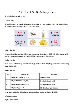 Hóa  học lớp 11 Bài 24: Carboxylic acid sách Kết Nối Tri Thức