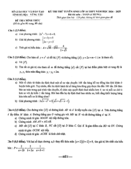Đề thi thử vào lớp 10 môn Toán (chung) năm 2024 – 2025 sở GD&ĐT Bà Rịa – Vũng Tàu