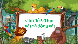 Giáo án điện tử  Khoa Học 4 -  Kết Nối Tri Thức:  khoa hoc.
