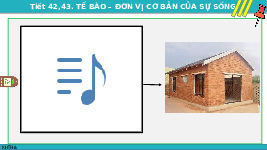 Giáo án điện tử Khoa học tự nhiên 6 bài 18 Kết nối tri thức : Tế bào - Đơn vị cơ bản của sự sống