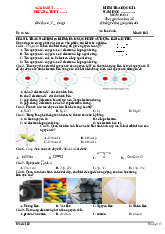 Đề thi học kỳ 1 môn Hoá học lớp 10 năm học 2024 - 2025 - Đề số 2 | Bộ sách Kết nối tri thức