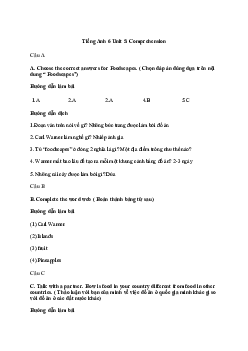 Tiếng Anh 6 Unit 5: Comprehension | Explorer English