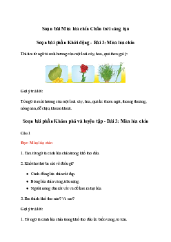 Soạn bài Mùa lúa chín trang 66 | Tiếng việt lớp 2 | Chân trời sáng tạo