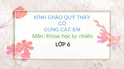 Giáo án điện tử Khoa học tự nhiên 6 bài 44 Kết nối tri thức : Lực ma sát