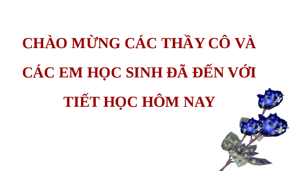 Giáo án điện tử Hoạt động trải nghiệm 6 Chủ đề 3 Kết nối tri thức: Tự chăm sóc bản thân