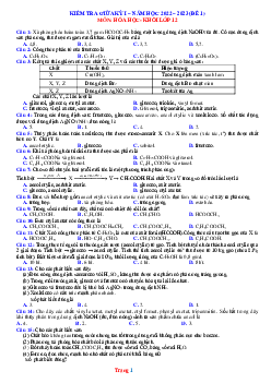 Đề thi giữa học kỳ I hóa học 12 năm 2022-2023 Đề 1 (có đáp án)