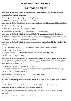 Đề thi thử vào 10 môn tiếng Anh Hải Phòng số 3 năm 2023-2024