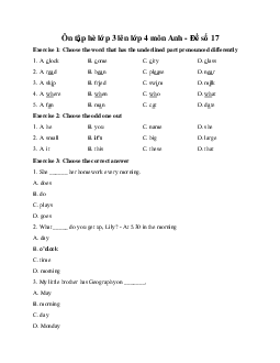 Ôn tập hè lớp 3 lên lớp 4 môn Anh - Đề số 17