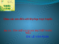 Giáo án điện tử Tự nhiên và Xã hội 2 Bài 25 Kết nối tri thức: Tìm hiểu cơ quan bài tiết nước tiểu