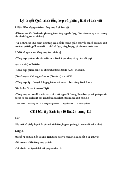 Sinh học 10 Bài 25: Sinh trưởng và sinh sản ở vi sinh vật sách Chân Trời Sáng Tạo