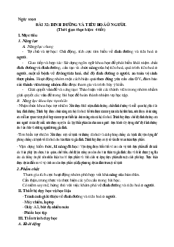 Giáo án Khoa học tự nhiên 8 Bài 32: Dinh dưỡng và tiêu hóa ở người | Kết nối tri thức