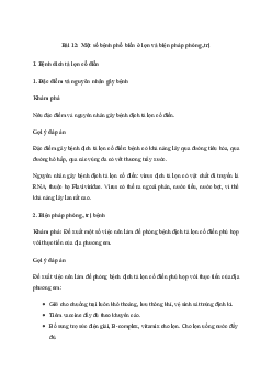 Giải Công nghệ 11 Bài 12: Một số bệnh phổ biến ở lợn và biện pháp phòng, trị | Kết nối tri thức