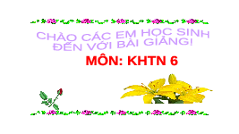Giáo án điện tử Khoa học tự nhiên 6 bài 35 Chân trời sáng tạo : Lực và biểu diễn lực