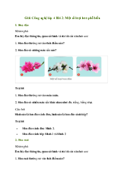 Giải Công nghệ lớp 4 Bài 2: Một số loại hoa phổ biến | Cánh diều