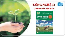Giáo án điện tử Công nghệ chăn nuôi 11 Bài 5 Kết nối tri thức: Nhân giống vật nuôi