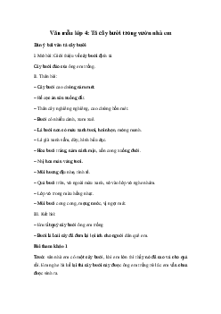 Tả cây bưởi | Tập làm văn lớp 4