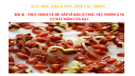 Giáo án điện tử Khoa học tự nhiên 7 bài 26 Chân trời sáng tạo : Thực hành về hô hấp tế bào ở thực vật thông qua sự nảy mầm của hạt