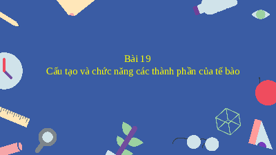 Giáo án điện tử Khoa học tự nhiên 6 bài 19 Kết nối tri thức : Cấu tạo và chức năng các thành phần của tế bào