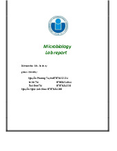 Microbiology Lab report | Trường Đại học Quốc tế, Đại học Quốc gia Thành phố Hồ Chí Minh