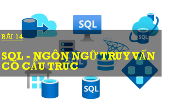 Bài 14 Chủ đề 4 | Bài giảng PowerPoint Tin học 11 Kết nối tri thức