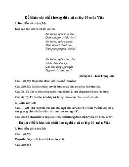 Đề khảo sát chất lượng đầu năm môn Văn lớp 10 năm 2024 (Đề 5)