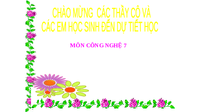 Giáo án điện từ Công nghệ 7 Bài 2 Cánh Diều: Quy trình trồng trọt