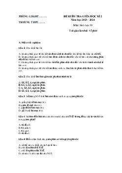 Đề thi giữa học kì 2 môn Sinh học lớp 10 năm 2023 - 2024 (Sách mới) | Kết Nối Tri Thức đề 2