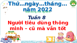 Giáo án điện tử Hoạt động trải nghiệm 3 Cánh diều: Người tiêu dùng thông minh