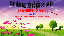 Giáo án điện tử Tự nhiên và Xã hội 2 Bài 13 Kết nối tri thức: Hoạt động giao thông