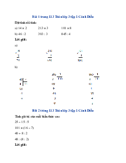 Giải SGK Toán lớp 3 trang 113, 114 Em ôn lại những gì đã học | Cánh Diều
