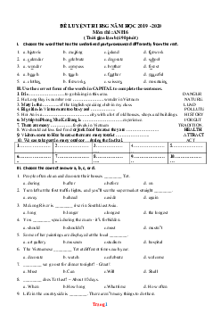 TOP 40 đề luyện thi học sinh giỏi Tiếng Anh 6 (có đáp án)