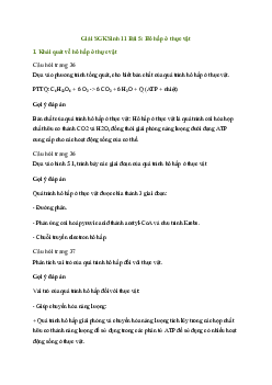 Bài 5: Hô hấp ở thực vật | Giải Sinh 11 Cánh diều