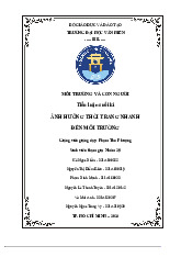 Tiểu luận cuối kì_ Tác động của Thời Trang Nhanh đến Môi Trường môn Môi trường và con người - Trường Đại học Văn Hiến.