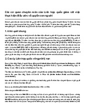 Các cơ quan chuyên môn của Liên hợp quốc giám sát việc thực hiện điều ước về quyền con người
