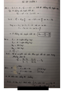 Bài tập chương 3 môn Kinh tế vi mô