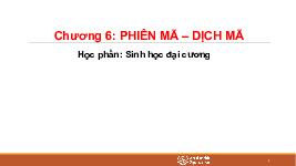 Chuong 6 Phien ma - Dich ma