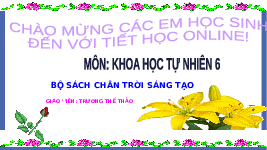 Giáo án điện tử Khoa học tự nhiên 6 bài 13 Chân trời sáng tạo : Một số nguyên liệu