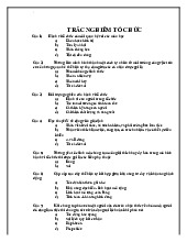 TOP Câu Hỏi Trắc nghiệm Môn Hành vi tổ chức | Đại học Kinh Tế Quốc Dân